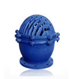 Foot Valve